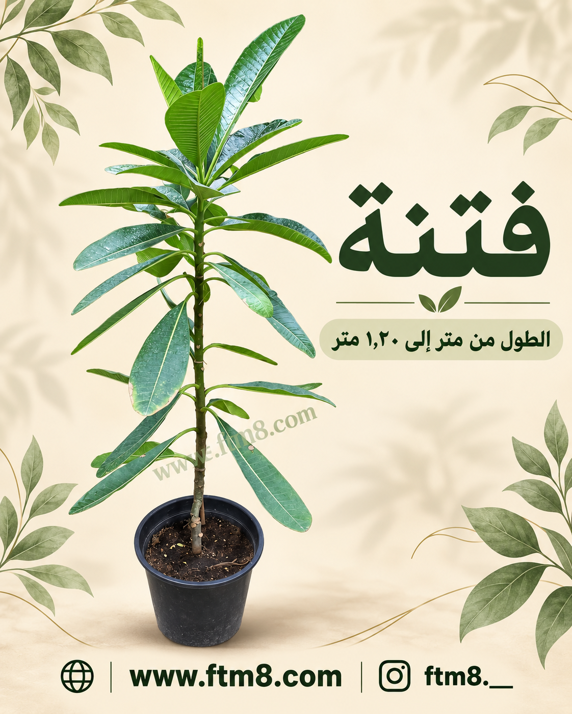 فتنه 