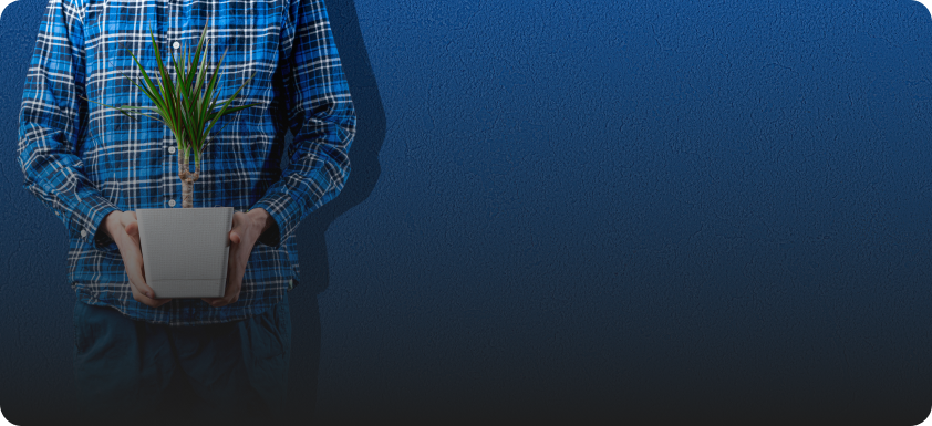 أحضر النباتات لمنزلك بكل سهولة