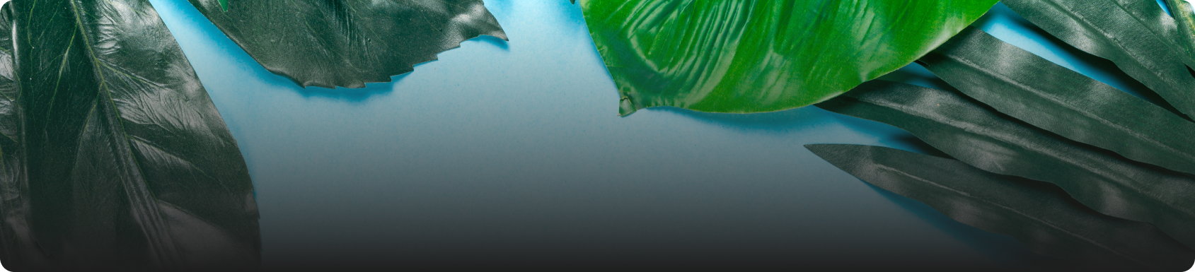 Newsletter background